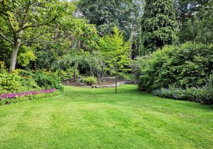 Optimiser l'expérience du jardin à Fleurey-les-Lavoncourt