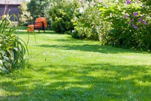 travaux jardin et paysage Fleurey-les-Lavoncourt